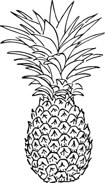 All of our fruits come from farms we have inspected to ensure compliance with our quality standards. We ensure that our pineapple suppliers are paid fair prices.